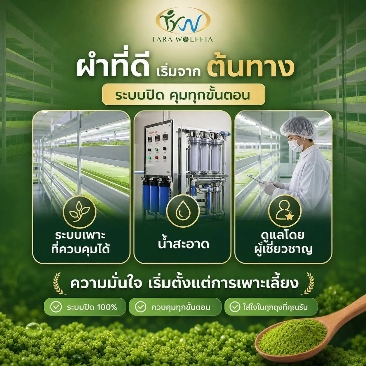 ภาพภายในฟาร์มระบบปิดแนวตั้ง ชั้นเพาะเลี้ยงผำ ระบบกรองน้ำ และเจ้าหน้าที่ตรวจคุณภาพ